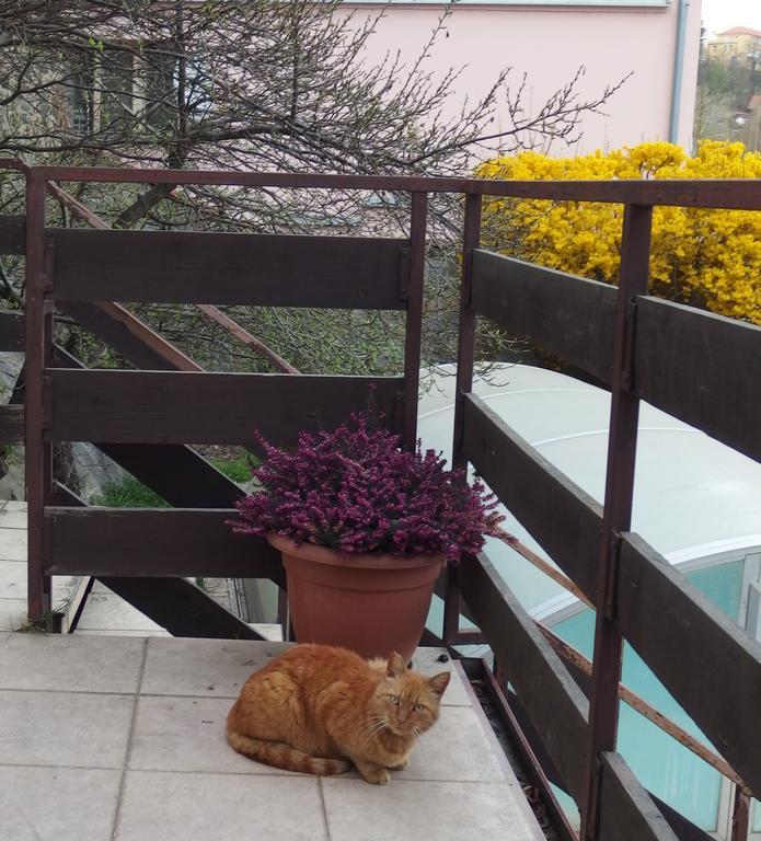 Apartmany U Kocek Tabor Exterior photo